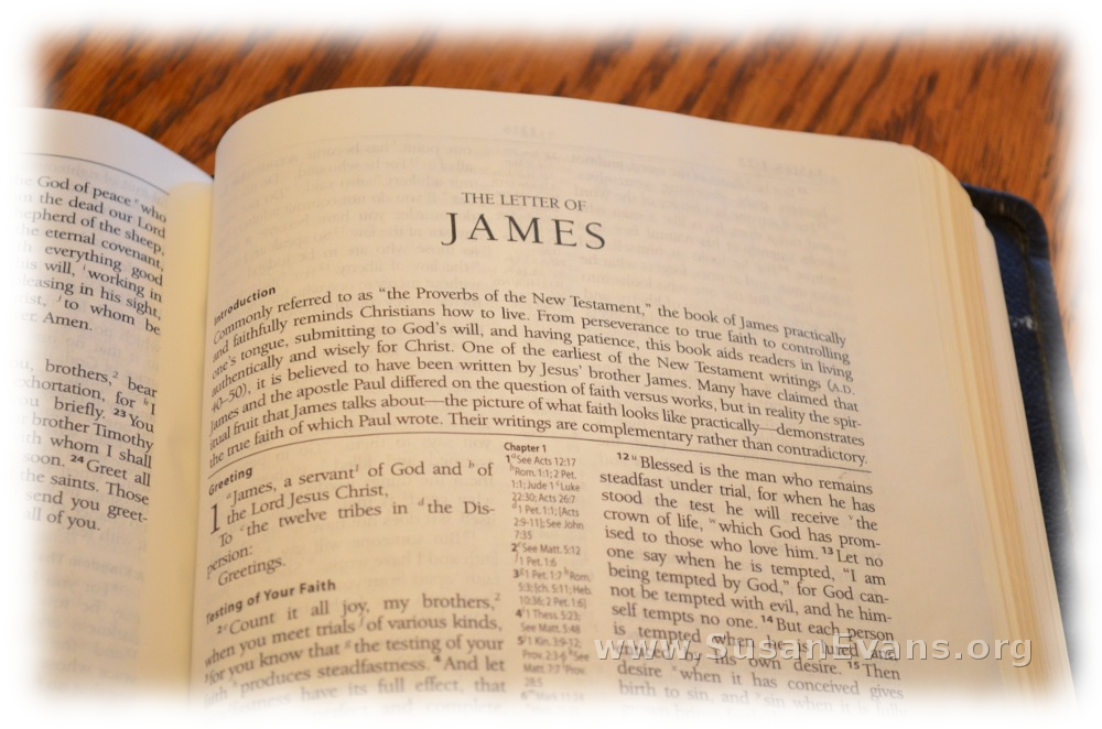 summary of the book of james in the bible